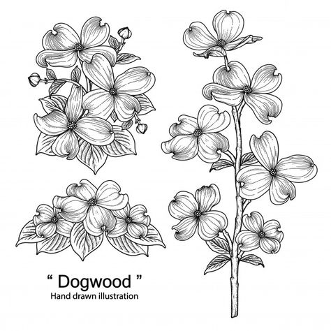 Band Poster Ideas, Dogwood Tattoo, Dogwood Flower Tattoos, Embroidery Tattoos, Black Line Art, Dogwood Branches, Branch Vector, Dogwood Flower, Pink Dogwood