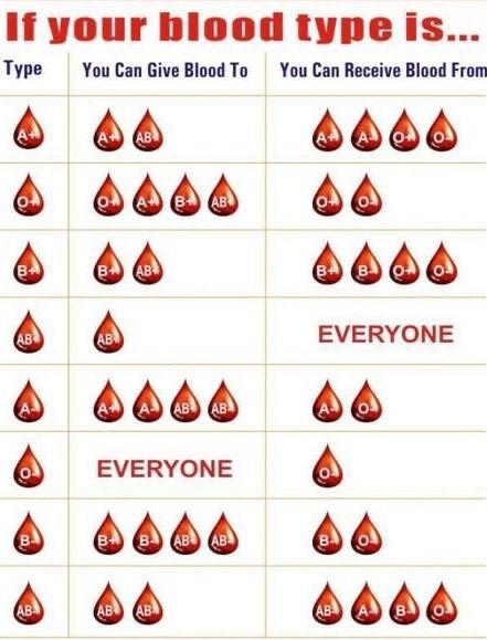 Blood Type Chart, Blood Types, Type Chart, Biology Facts, Medical Facts, Nursing School Tips, Nursing School Notes, Medical School Essentials, Phlebotomy