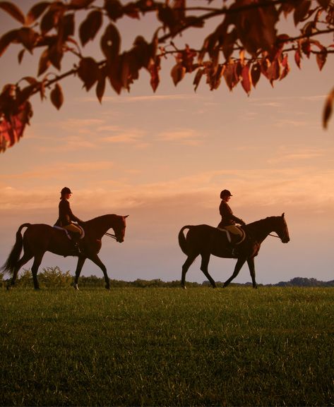 Horseback Riding Trails, Horse Riding Aesthetic, Front Stoop, Horse Country, Fox Hunt, Trail Ride, Horse And Human, Equestrian Aesthetic, Horse Trail