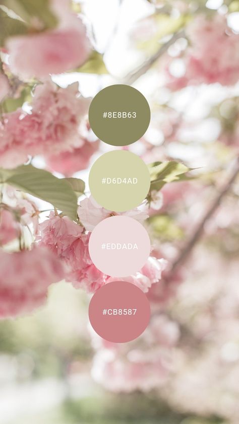 Light Pink And Green Color Pallets, Pink White Green Color Palette, Light Pink Pallet, Colours That Go With Light Pink, Green Pink Pallet Color, Sage Pink Color Palette, Blush Pink Complimentary Colors, Sage And Pink Aesthetic, Sage Green Pink Color Palette