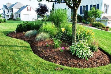 Large Corner Landscaping Ideas Front Yard, Landscaping Lining Driveway, Landscaping Mounds And Berms, Tree Island Landscape Front Yards, Yard Island Ideas Front Yard, Flower Bed In Middle Of Yard, Island Landscape Ideas Front Yards, Landscape Pine Trees, Round Flower Beds In Front Of House