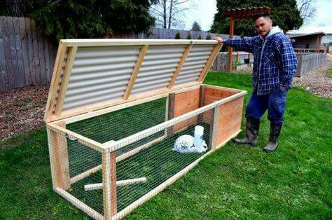 Rabbit Cages Outdoor, Rabbit Hutch Plans, Diy Rabbit Cage, Diy Rabbit Hutch, Quail Coop, Rabbit Pen, Outdoor Rabbit Hutch, Rabbit Enclosure, Rabbit Farm