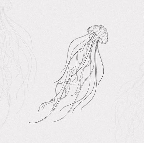 Ocean Tattoos Linework, Jellyfish Tattoo Linework, Jellyfish Tattoo Design Simple, Jelly Fish Tattoo Stencil, Fineline Jellyfish Tattoo, Jellyfish Line Drawing, Jelly Fish Tattoo Fine Line, Fine Line Sketches, Fine Line Jellyfish Tattoo