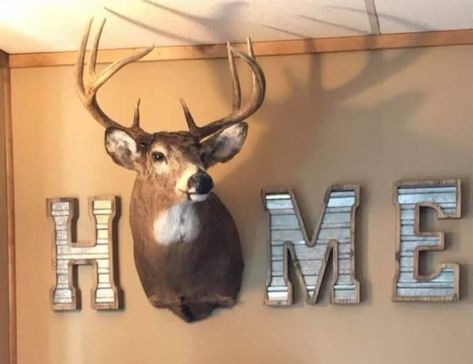 Deer Head Decor, Cozy Apartment Living Room, Antler Decor, Hunting Room, Hunting Decor, Deer Decor, Hunting Tips, Diy Farmhouse Decor, Deer Head