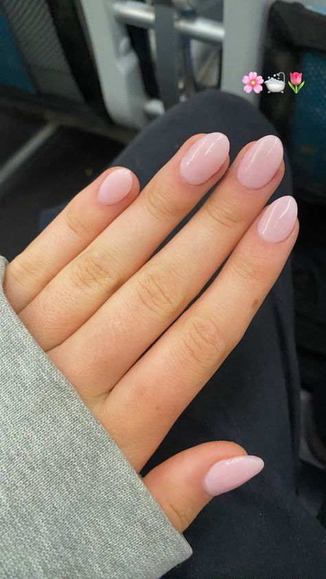 Short Nails Simple Color, Simple Acrylic Nails No Design, Nail Ideas Natural Colors, Short Almond Nails Back To School, Short Coffin Light Pink Nails, Light Pink Nails Natural Nail, Cute Nail Designs Light Pink, Light Pink Nail Inspiration, Shortish Nails Acrylic