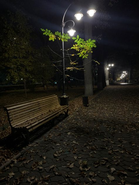 Park Bench Aesthetic Night, Abandoned Playground Night, Night Park Background, Park In Night, Park Night Aesthetic, Dark Street Background, Park At Night Aesthetic, Park Bench Aesthetic, Park Aesthetic Night