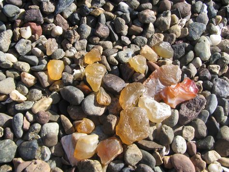 We've found a lot of agates at Westport over the years. They remind me of some fun times! Beach Agates, Agate Hunting, Anacortes Washington, Michigan Rocks, Rock Identification, Minerals Crystals Stones, Rock Tumbling, Agate Rocks, Rock Collecting