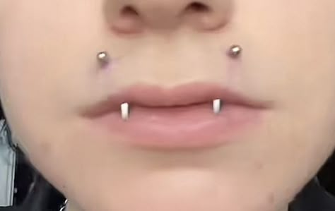 Angle Bite Piercings, Vampire Fangs Piercing, Angle Bite Fangs Piercing, Angle Fangs Piercings, Vertical Angel Bites, Angel Fangs Piercing, Angel Fangs, Dream Piercings, Angel Bites Piercing