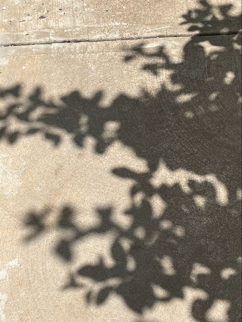 shadows of leaves on the pavement Summer Trees Aesthetic, Pavement Aesthetic, Tree Shadow Painting, Shadow Drawings, Leaves Shadow, Aesthetic Leaves, Aesthetic Shadow, Triptych Painting, Shadow Tree