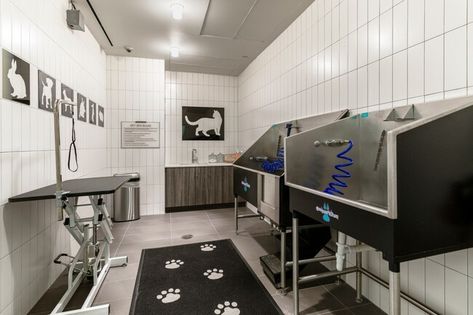 Grooming Salon Ideas Design, Pet Grooming Shop, Dog Grooming Salon Decor, Pet Store Ideas, Dog Washing Station, Dog Grooming Salons, Pet Spa, Dog Salon, Pet Hotel