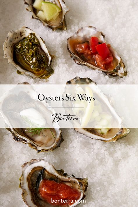 Not many things pair better with a plate of raw oysters than our beautifully crisp Sauvignon Blanc. Bring out the superb brightness of ripe citrus peel and mineral notes with our 6 recipes for dressing your favorite seafood, using fresh, organic ingredients. Raw Seafood Platter, Oyster Toppings Raw, Raw Oysters Toppings, Oyster Recipes Raw, Raw Oyster Sauce Recipes, Raw Oyster Toppings, What To Serve With Oysters, Fresh Oyster Recipes, Vinegrette Recipe