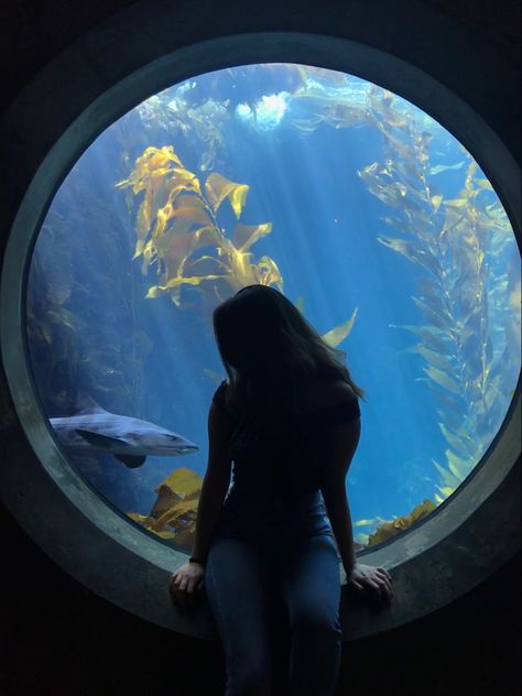 Aesthetic Aquarium, Aquarium Aesthetic, Monterey Bay Aquarium, Monterey Bay, The Fish, Monterey, Fish, Glass