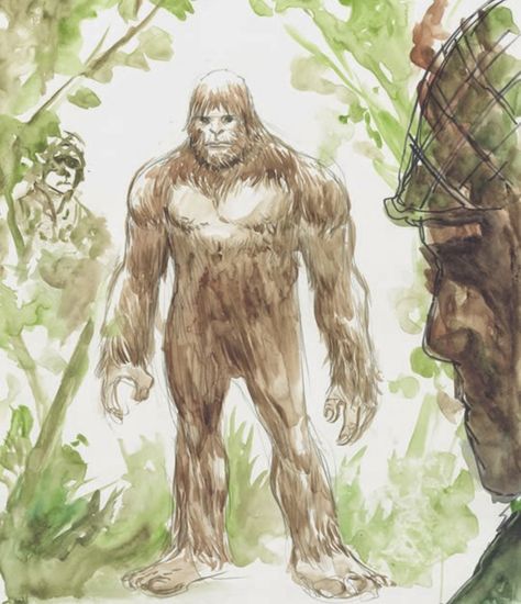 The jungles of Vietnam have been hiding a bipedal creature similar to Bigfoot that many haven’t heard about before. Bipedal Creature, Bigfoot Pictures, Bigfoot Art, Forest People, Bigfoot Sightings, Mysterious Events, Wild Man, Red Ape, Bigfoot Sasquatch