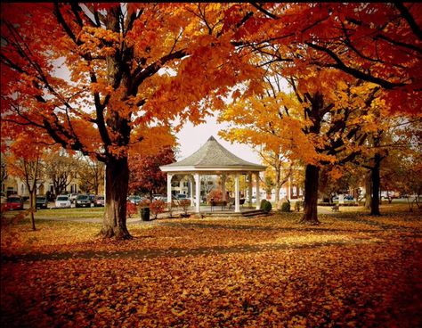 Upstate NY fall... My favorite season!!!!! Aesthetic Gazebo, New York Autumn Aesthetic, New York Aesthetic Fall, Fall Gazebo, Upstate New York Aesthetic, Upstate Ny Fall, Autumnal Aesthetic, New York Autumn, November Autumn