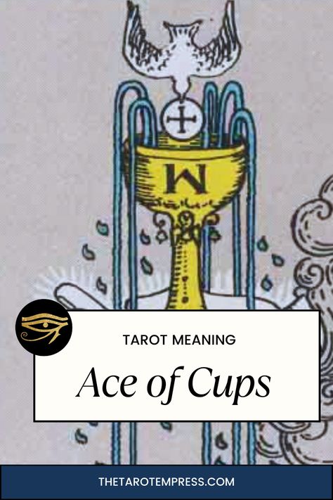 Ace of Cups Tarot Card Meaning, Upright, Reverse, Health, Wealth & Love Ace Of Cups Tarot Card, Ace Of Cups Tarot, The Ace Of Cups, Ace Of Cups, Empress Tarot, Hands Reaching Out, Cups Tarot, Tarot Meanings, Tarot Card Meanings