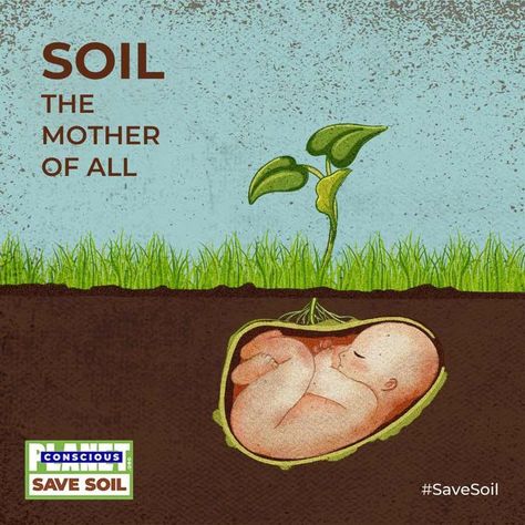 Save Soil, No Till Farming, Nature Quotes Beautiful, Slogan Writing, Agriculture Photography, Deep Ecology, Che Guevara Art, Soil Conservation, Forest Conservation