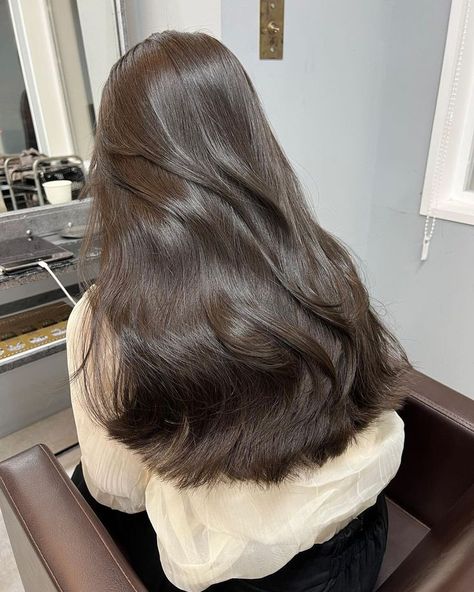 Do you wish you had perfect hair? check this link Thick Glossy Hair, Korean Healthy Hair, Dr Hair Claim, Elegant Hair Styles For Medium Length, Wonyoungism Haircare, Korean Dark Brown Hair, Khaki Brown Hair, Wonyoungism Hair, Matte Brown Hair