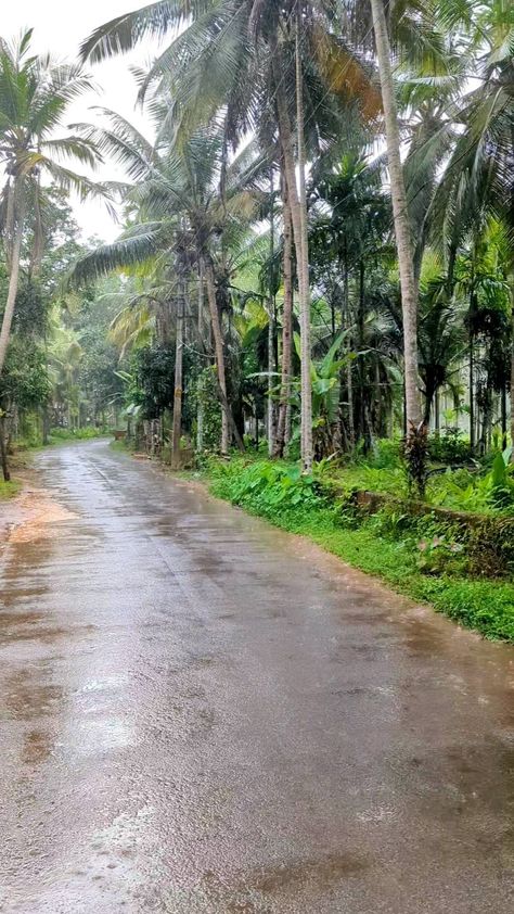 Kerala Snap, Outing Snap, Rain Kerala, Rain In Kerala, Kerala Monsoon, Kerala Aesthetic, Rain Home, Kerala Trip, City Palace Udaipur