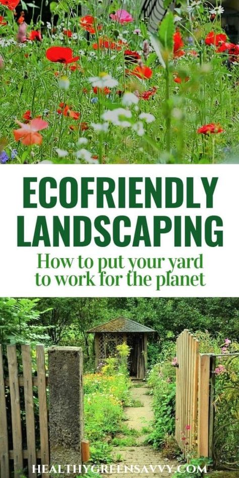 Eco Friendly Landscape Design, Low Maintenance Acreage Landscaping, Nature Friendly Garden Ideas, Nature Friendly Garden, Natural Yards Ideas, Sustainable Yard Ideas, Sustainable Backyard Landscaping, How To Naturalize Your Yard, Eco Friendly Front Yard Landscaping