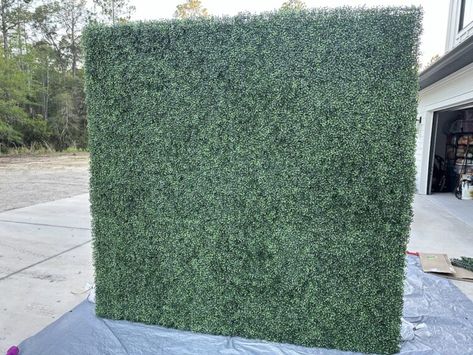 Boxwood Wall Photo Backdrop - Aubrey Swan Blog Diy Green Wall Backdrop, Diy Hedge Wall, Diy Greenery Wall Backdrop, Diy Boxwood Backdrop, Backyard Wedding Party, Boxwood Wall, Food Centerpieces, Boxwood Hedge Wall, Boxwood Backdrop