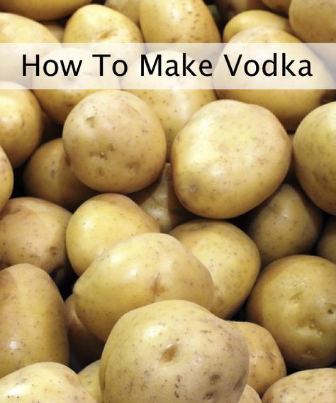 How To Make Vodka At Home From Potatoes...http://homestead-and-survival.com/how-to-make-vodka-at-home-from-potatoes/ How To Make Vodka, Homemade Alcohol, Homemade Liquor, Moonshine Recipes, Homemade Wine, Home Brew, How To Make Beer, Alcohol Recipes, Fermented Foods