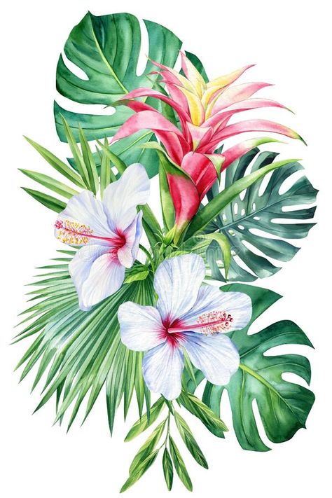 Jungle flowers and palm leaves on isolated white background, watercolor botanical painting. Colored plants stock images Nature Drawing Ideas, Jungle Drawing, Tropical Art Print, Jungle Flowers, Botanical Floral Prints, Tropical Painting, Jungle Art, Plant Tattoo, Background Watercolor