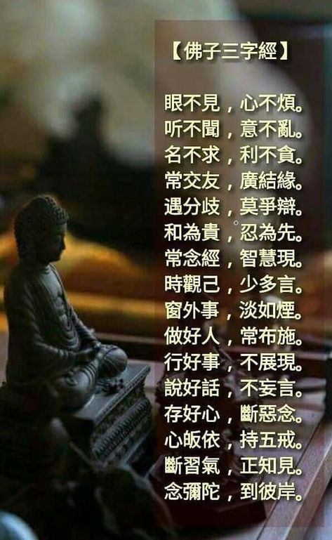 Water Calligraphy, Ksitigarbha Bodhisattva, Vows Quotes, Chinese Buddhism, Lotus Flower Pictures, Chinese Phrases, Golden Buddha, Buddhism Quotes, Art Of Life