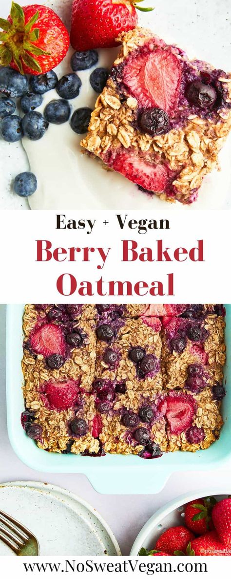 Vegan Oatmeal Bake Recipes, Vegan Banana Baked Oatmeal, Vegan Breakfast Bars Healthy, Plant Based Baked Oatmeal, Vegan Baked Oatmeal Cups, Oatmeal Bake Breakfast Vegan, Wfpb Baked Oatmeal, Vegan Oatmeal Bars Breakfast, Baked Oatmeal Recipes Vegan