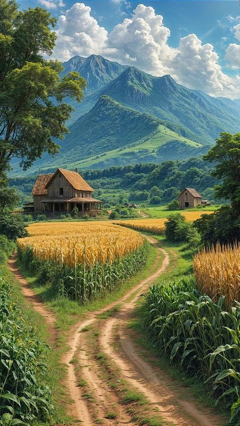 Nokia Wallpapers, Indian Landscape, Village Mountain, Nature Village, Village Scenery, Rural Photography, Golden Fields, Rural Village, Beautiful Landscape Photography