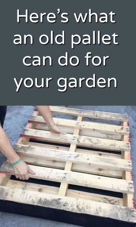 Huge Planters, Gemüseanbau In Kübeln, Pallet Projects Garden, Diy Wood Pallet Projects, Diy Planter Box, Pallet Planter, Pallets Garden, Pallet Garden, Backyard Diy Projects