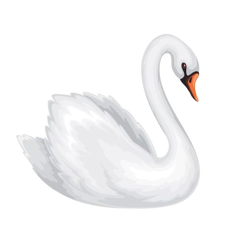 Swan Vector Illustration, Tattoo Swan, Swan Cartoon, Swan Vector, Swan Images, Swan Graphic, Swan Sticker, Duck Icon, Duck Vector