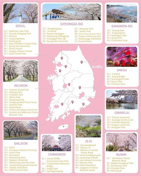 South Korea Travel✈️🇰🇷 | List of the places you can visit during Cherry Blossom Festival in South Korea🌸🌸🌸🌸 | Facebook South Korea Tourist Attraction, Korea Travel Outfit, Relaxing Apartment, Korea Tourist Attractions, South Korea Travel, Cherry Blossom Festival, Tourist Map, Travel Buddy, S Korea