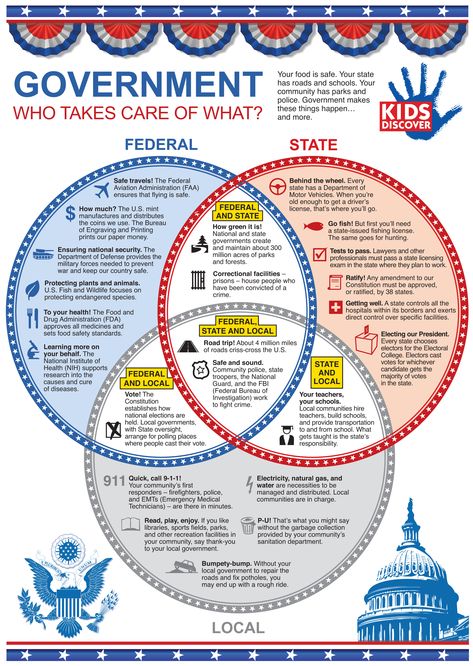 Federalism and Shared Power Government Lessons, Teaching Government, 4th Grade Social Studies, 5th Grade Social Studies, Homeschool Social Studies, Branches Of Government, Social Studies Lesson, American Government, History Timeline