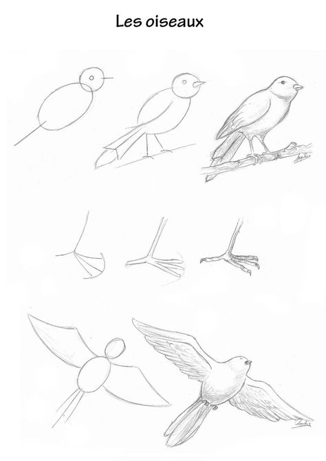 Draw Birds, Cute Dragon Drawing, Hand Art Kids, Cats Art Drawing, Bird Sketch, Album Art Design, Rock Painting Patterns, Easy Drawings Sketches, Outline Drawings