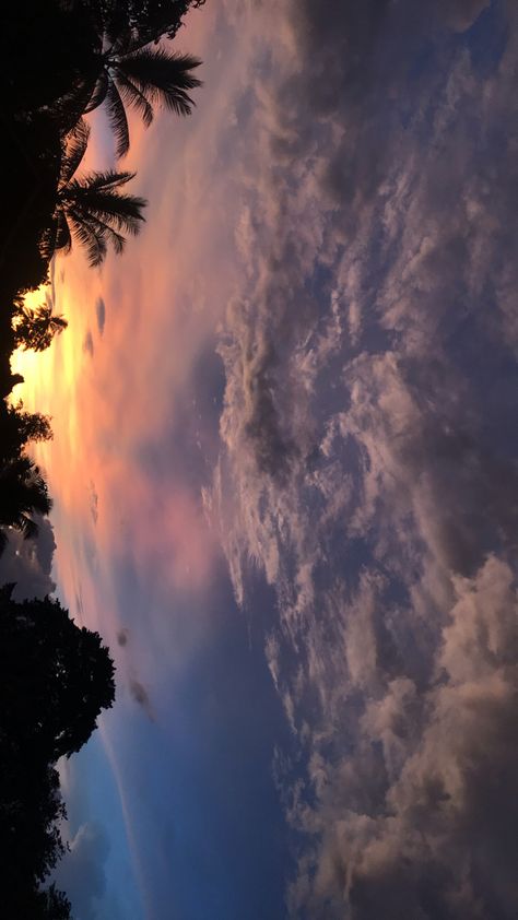 Evening Photography Sky, Evening Snap, Love Sky, Evening Fashion, Best Nature Images, Snap Snapchat, Pink Tree, Sky Photography Nature, Beautiful Scenery Pictures