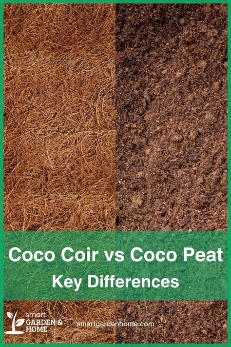 Discover the perfect match for your plants: Coco Coir vs Coco Peat!

Both eco-friendly options, they offer lightweight, airy, and nutrient-rich soil for healthy growth.

Learn more about their benefits here! Plants Without Soil, Gardening Gadgets, Composting Methods, Modern Gardening, Coco Peat, Planting Fruit Trees, How To Grow Plants, Hydroponic Garden, Coco Coir