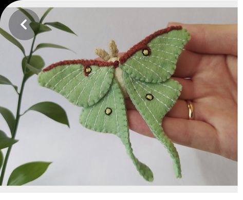 Chinese Luna Moth, Moth Pattern, Felt Butterfly, Butterfly Ornaments, Felt Sewing, Cute Sewing Projects, Felt Embroidery, Diy Mothers Day Gifts, Ornament Pattern