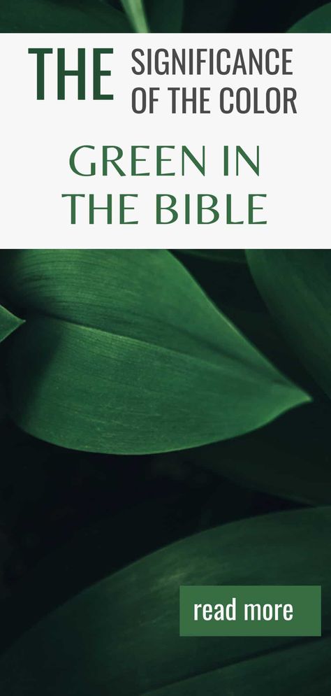 Discover the profound symbolism of the color green in the Bible with our insightful blog post! 🌿 Delve into its representations of life, renewal, and hope, and explore how this vibrant color weaves through biblical narratives to convey messages of growth and divine promise. Perfect for theology enthusiasts and those curious about biblical symbolism, this read will deepen your understanding of scripture and its colorful metaphors. Read now to uncover the spiritual depth of green! Colors In The Bible, Bible Meaning, Idol Worship, The Color Green, Blue Words, Hebrew Words, Color Meanings, Everlasting Life, Book Of Revelation