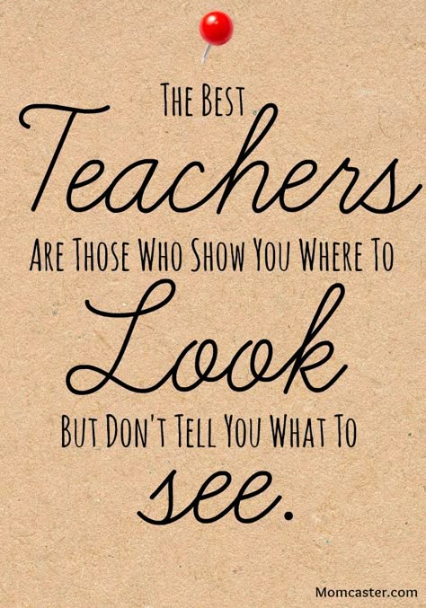 Classroom poster? But I'm hesitant to use it because it would make me seem like I think I'm the best kind of teacher... Teaching Memes, Teacher Appreciation Quotes, Teacher Motivation, Quotes For Teachers, Educational Quotes, Teacher Quotes Inspirational, Classroom Quotes, Teaching Quotes, 40th Quote