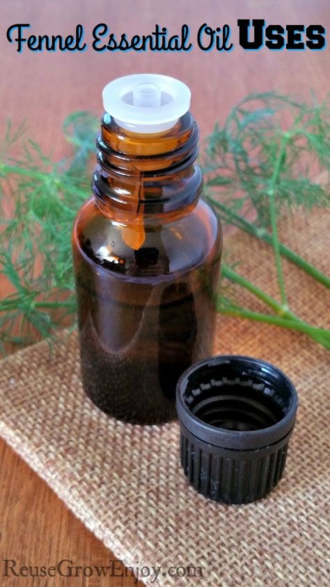 Fennel Essential Oil Uses for Women’s Health Selling Essential Oils, Fennel Essential Oil, Ways To Use Essential Oils, Essential Oils For Colds, What Are Essential Oils, Essential Oil Blends Recipes, Thrifty Living, Essential Oils Recipes, Juice Plus