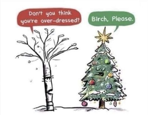 Christmas Christmas Funnies, Holiday Memes, Christmas Puns, Christmas Memes, Christmas Jokes, Christmas Funny, Holiday Humor, Laughter Is The Best Medicine, Just Funny