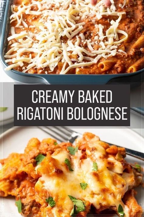 Creamy Bolognese, Rigatoni Bolognese Recipe, Oven Baked Pasta, Bolognese Recipe Easy, Creamy Chicken Alfredo Pasta, Rigatoni Bolognese, Easy Bolognese, Bolognese Pasta Bake, Pasta Bolognese Recipe