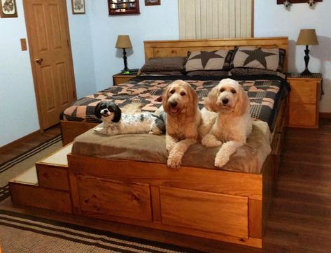 Cool Bed Frames, Built In Dog Bed, Diy King Bed Frame, Dog Bed Frame, Dog Bed Ideas, Exotic Animals As Pets, Custom Dog Beds, Pets Wallpaper, Animals Jokes