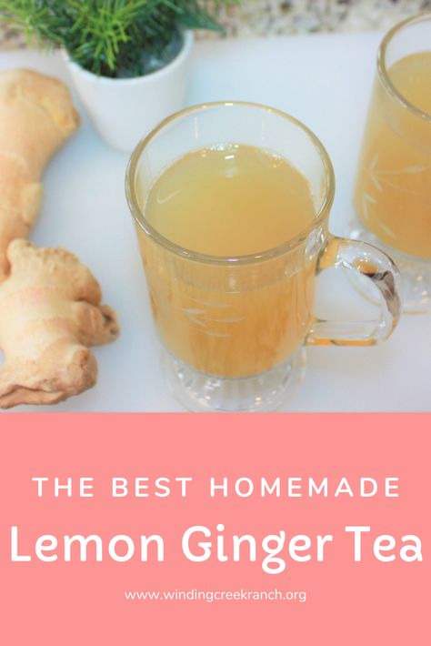 Click here to learn how to make the best homemade lemon ginger tea ever - Bonus - FREE recipe of lemon ginger tea with variations included! This recipe is very quick and easy, but so FULL of flavor.  There are so many different tea recipes out there, but let me persuade you to try this recipe, you won't be disappointed! Ginger has many health benefits, and is very comforting on a cold winter day. Give it a try! Cinnamon Ginger Tea, Ginger Lemon Tea Recipe, Ginger Cinnamon Tea, Ginger Lemon Honey Tea, Cinnamon Tea Benefits, Homemade Ginger Tea, Homemade Tea Recipes, Lemon Ginger Tea, Ginger Lemon Tea