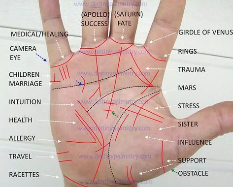 Read Palm Lines, Marriage Lines Palmistry, Palm Reading Charts, Indian Palmistry, Hand Reading, Palmistry Reading, Palmistry Hand, Palm Lines, Palm Reader