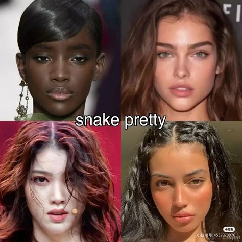 Snake Face Type Makeup, Snake Pretty Face Type, Fish Beauty Face Type, Snake Face Makeup, Different Types Of Beauty, Animal Pretty Face Types, Animal Face Type, Different Types Of Pretty, Snake Beauty