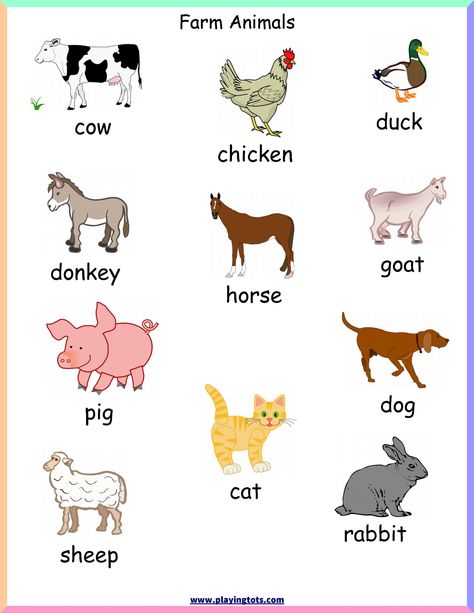 5 Farm Animals Games Preschool d8ae0ddccd884b26b8a9b ae17 Free Printable Farm Animals, Animals Chart, Printable Farm Animals, Farm Animals Games, Farm Animals For Kids, Farm Animals Pictures, Animal Pictures For Kids, Farm Animals Preschool, Kindergarten Pictures