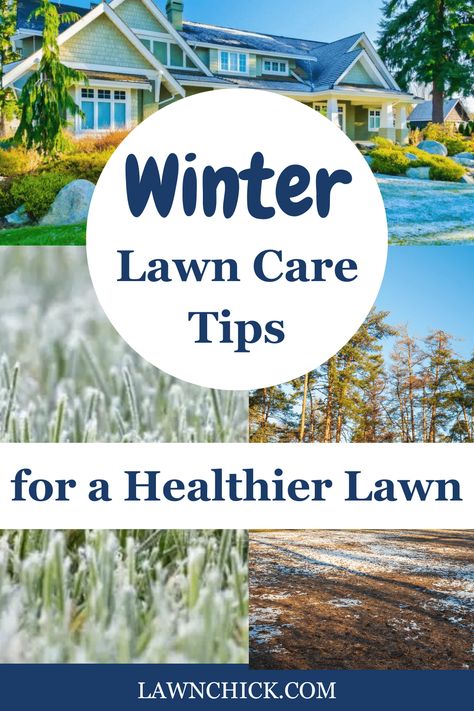 Even though your lawn may well be covered in snow all winter, that doesn't mean you don't have to worry about it. Some of the main parts of winter lawn care is actually preparation you do before the winter hits. As we discuss here, there are certain steps you should do to your lawn before the ice and snow starts. Read this blog post to learn everything you need to do to keep your lawn healthy over the winter months, so it's in the best possible shape for spring. What To Do In Winter, Winter Lawn Care, Lawn Striping, Types Of Grass, Lawn Care Tips, Healthy Lawn, Garden Maintenance, Soil Health, Grass Seed