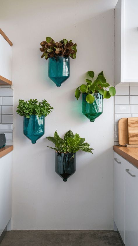 Transform plastic bottles into hanging or wall-mounted planters. Click to see how recycling meets indoor gardening! #recycledgarden #diyplanters Diy Wall Mounted Planter, Plastic Bottle Planter, Plant Store, Diy Hanging Planter, Wall Mounted Planters, Shell Planter, Hanging Planters Indoor, Container Ideas, Recycled Garden