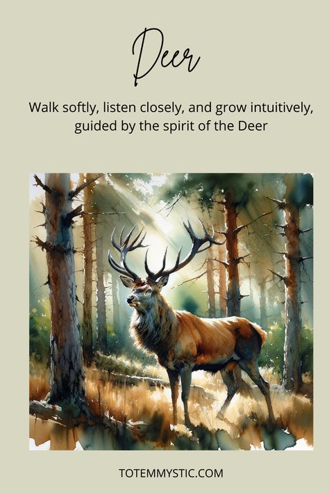 Deer, gentle creatures of sensitivity and intuition, guide you to inner peace. Embrace the deer spirit for a touch of gentleness in your life. #spirit animal #spiritual meaning #totem #power animal Deer Totem Spirit Animal, Deer Meaning Spirit Animal, Stag Spirit Animal Meaning, Deer Spirit Animal Meaning, Deer Spirit Animal, Ayesha Photos, Deer Totem, Ancient Witch, Animal Totem Spirit Guides